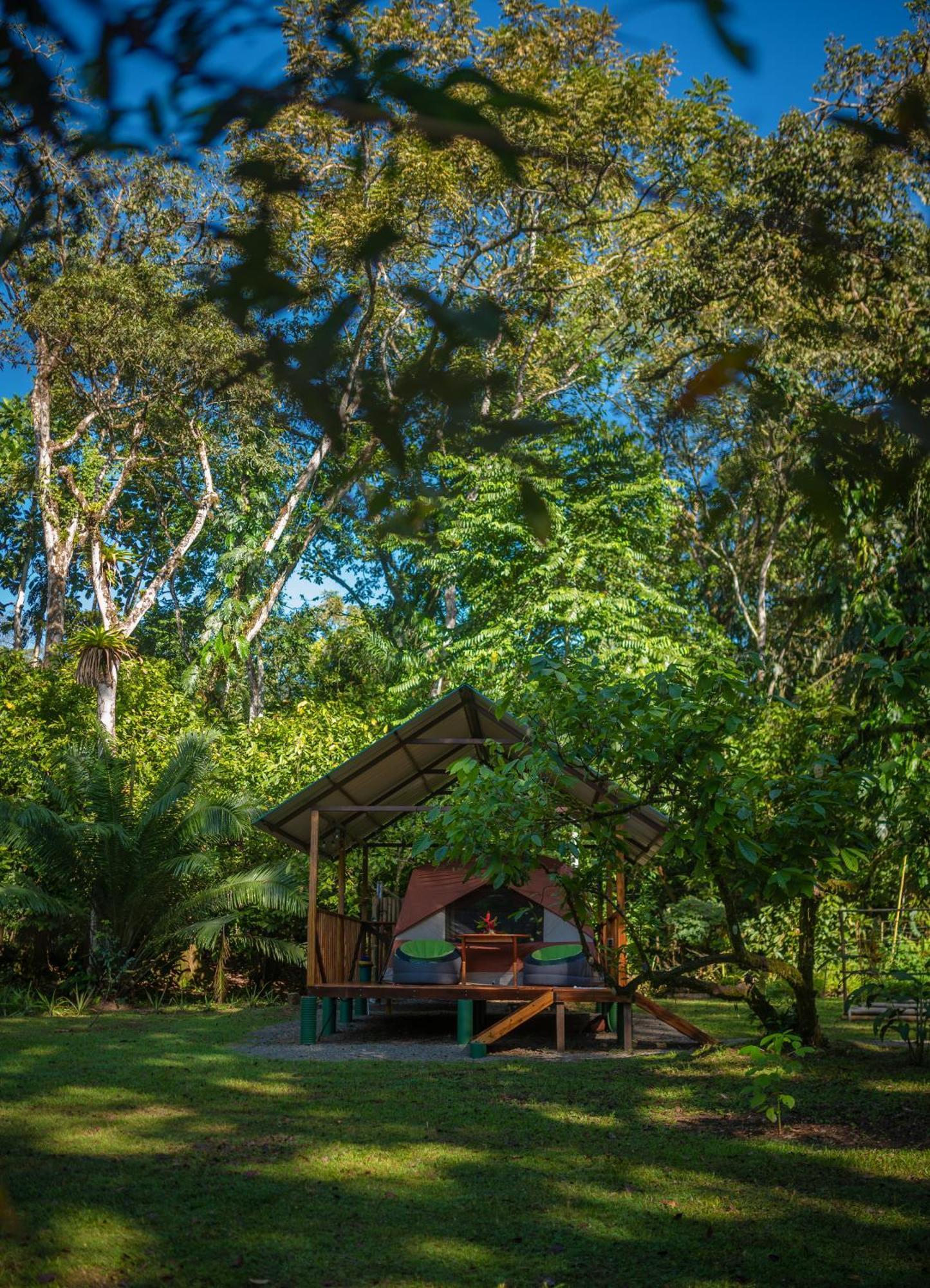Dolphin Quest Costa Rica Villa Piedras Blancas Екстериор снимка