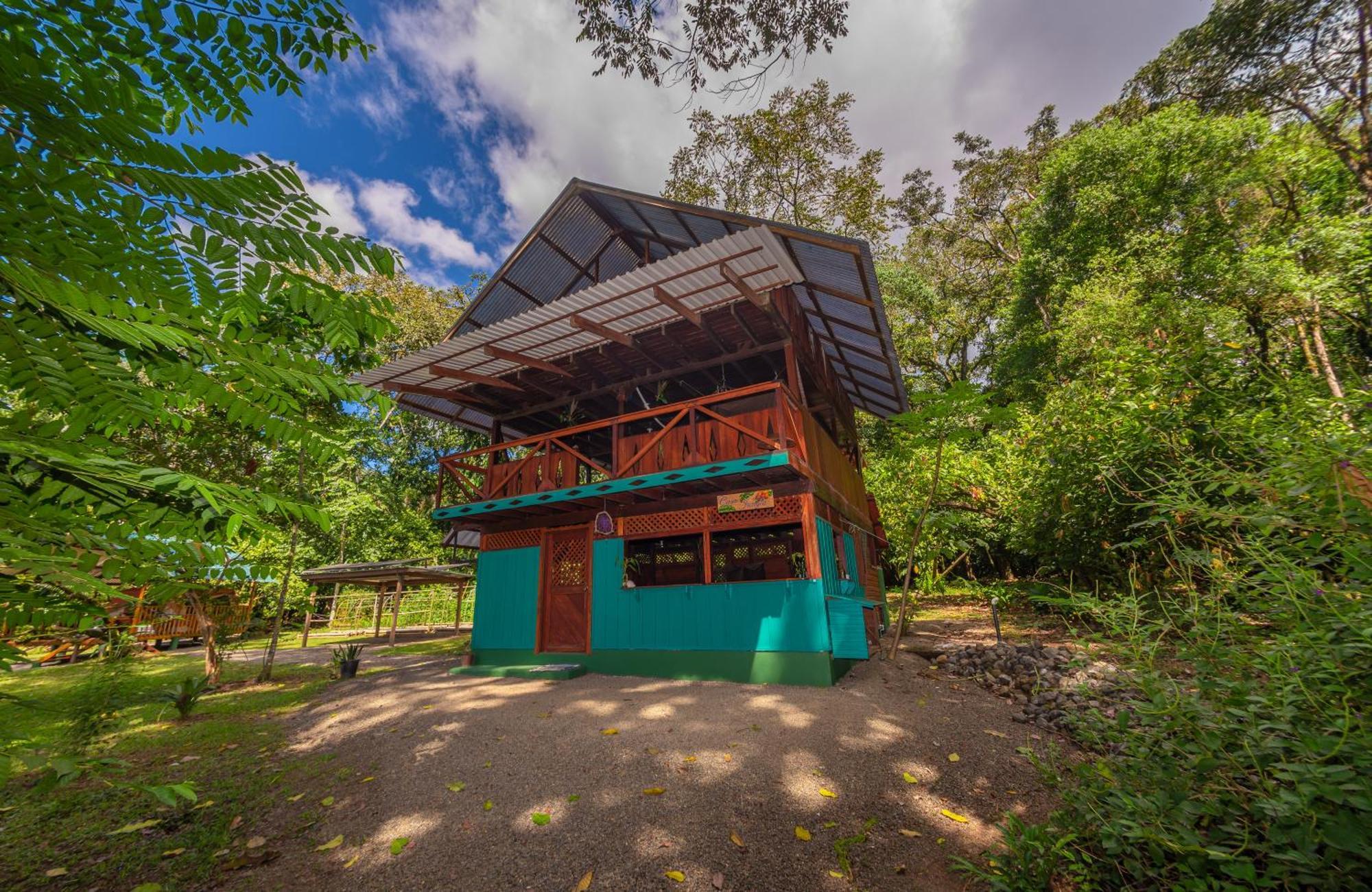 Dolphin Quest Costa Rica Villa Piedras Blancas Стая снимка